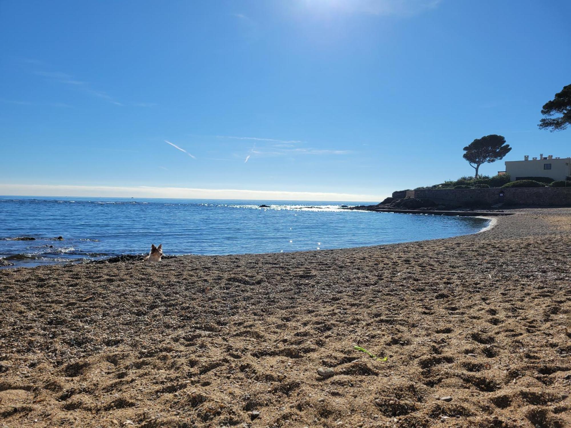 La Tranquillite, 2mn A Pieds Appartamento *